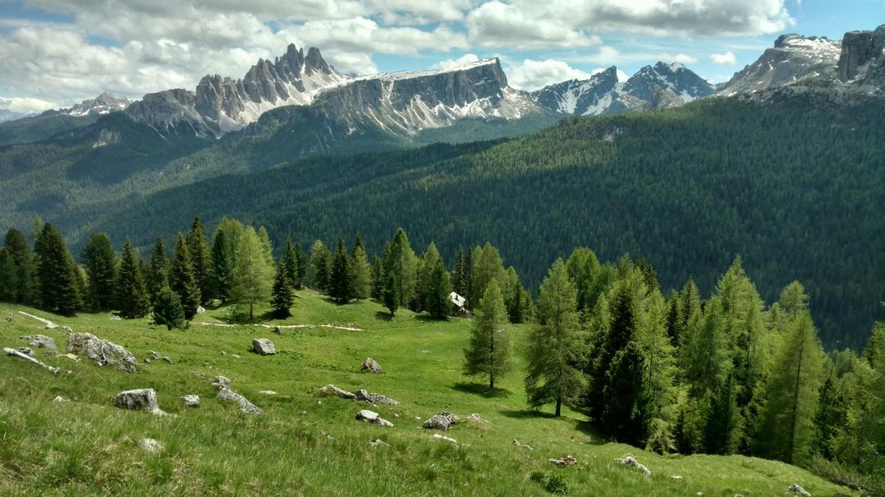 Hotel Cristallino D'Ampezzo 4*